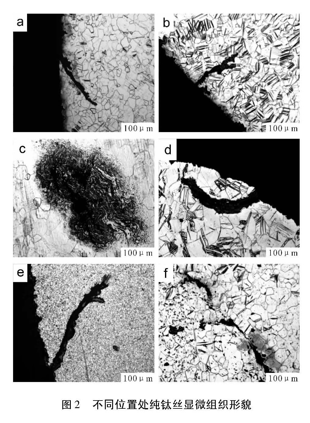 1614486466471350.jpg a4.jpg