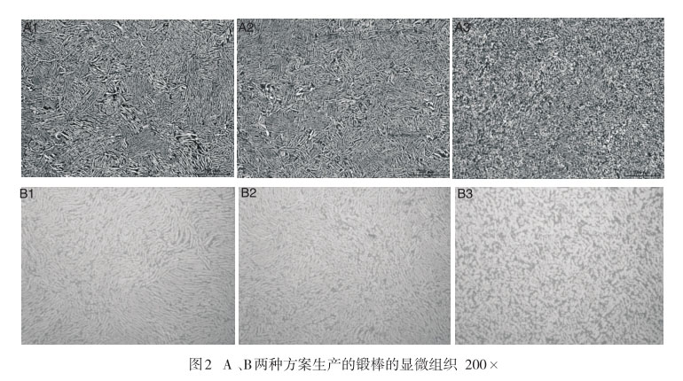 A 、B兩種方案生產(chǎn)的鍛棒的顯微組織
