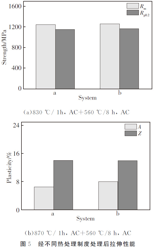 1677486745443851.jpg t5.jpg
